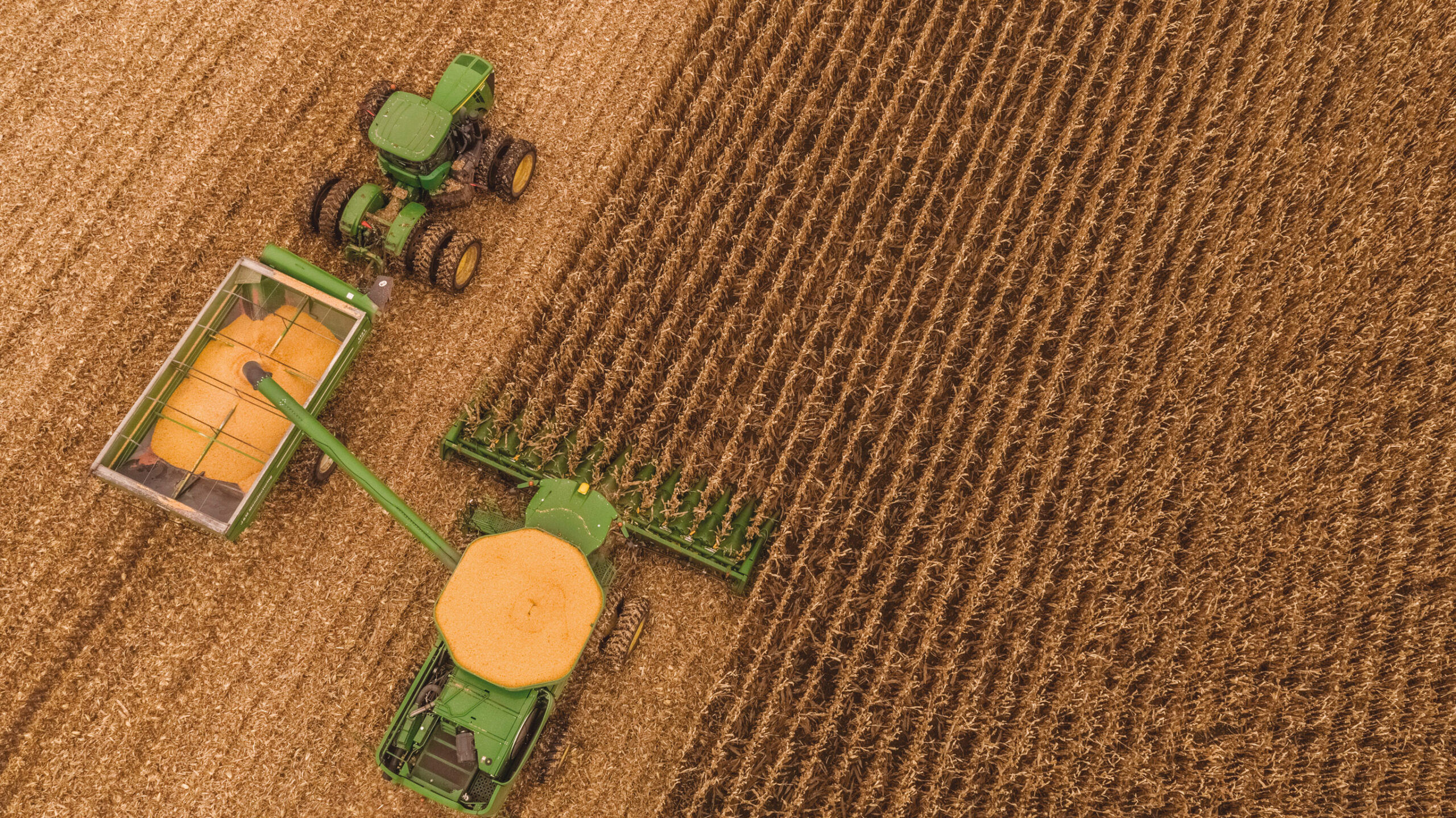 Bayer impulsa la innovación, la sustentabilidad y la transformación digital para llevar el campo a lo más alto Bayer impulsa la innovación, la sustentabilidad y la transformación digital para llevar el campo a lo más alto