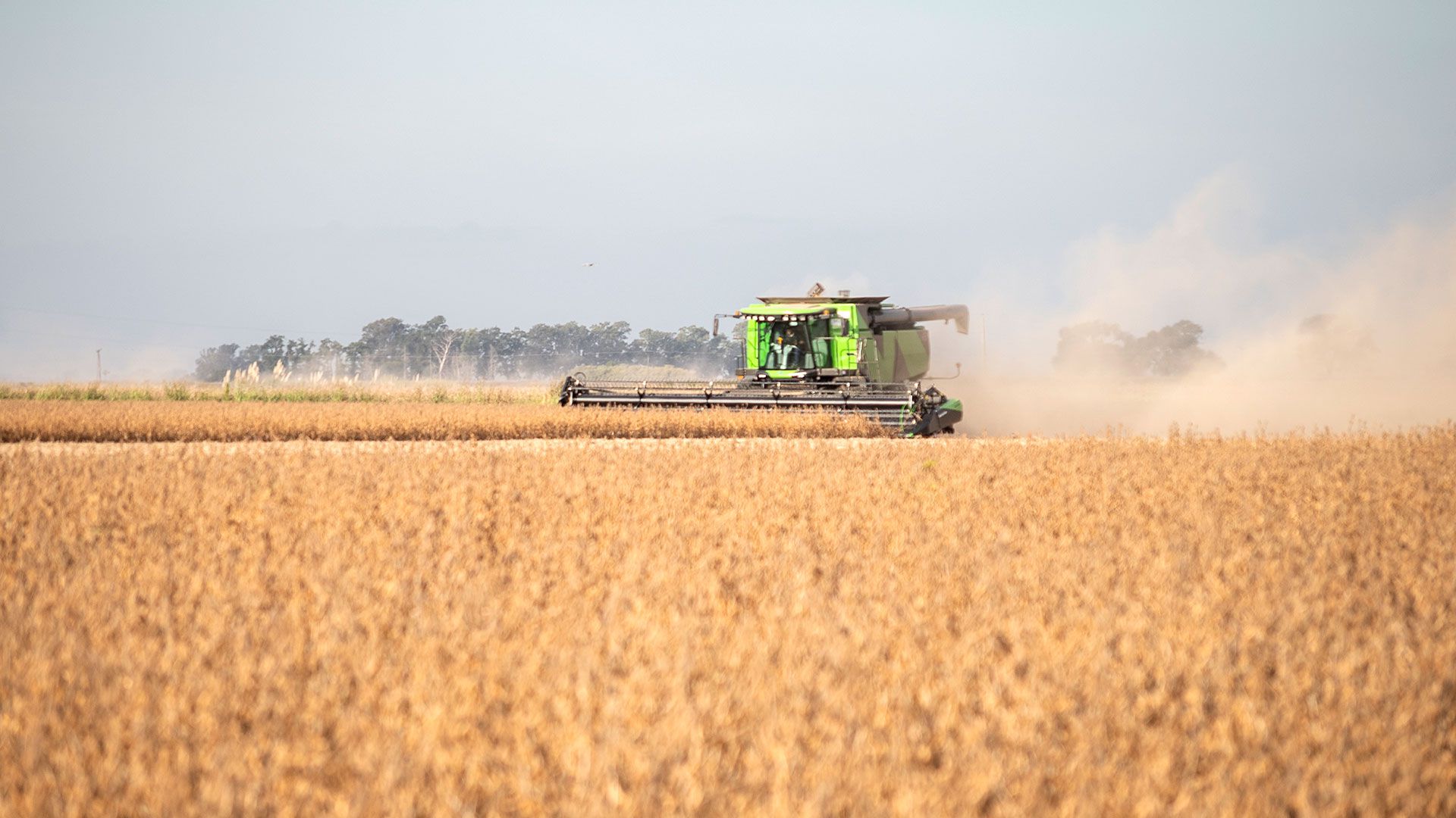 Récords absolutos: máximos históricos de los complejos agroindustriales en el primer semestre Récords absolutos: máximos históricos de los complejos agroindustriales en el primer semestre