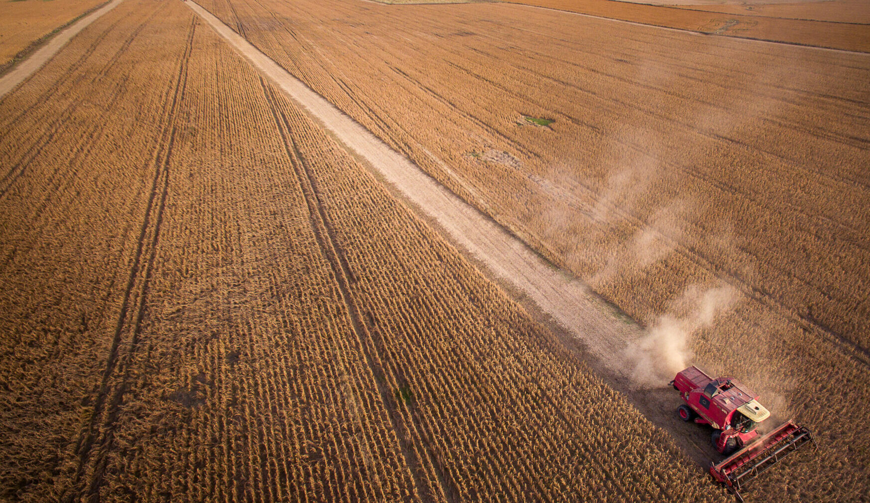Mejora la confianza del agro, pero 66% considera que no es momento para invertir Mejora la confianza del agro, pero 66% considera que no es momento para invertir