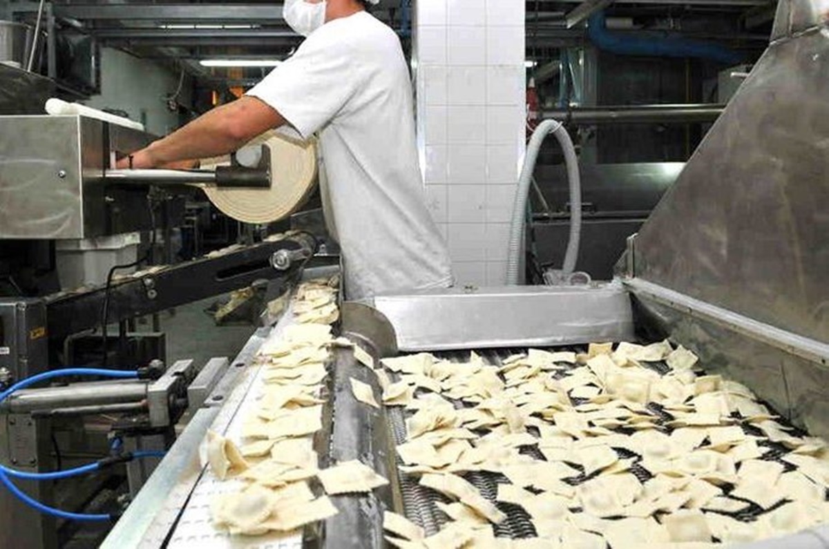 Libreto del campo para Milei: las cuatro claves para sumar medio millón de empleos Libreto del campo para Milei: las cuatro claves para sumar medio millón de empleos