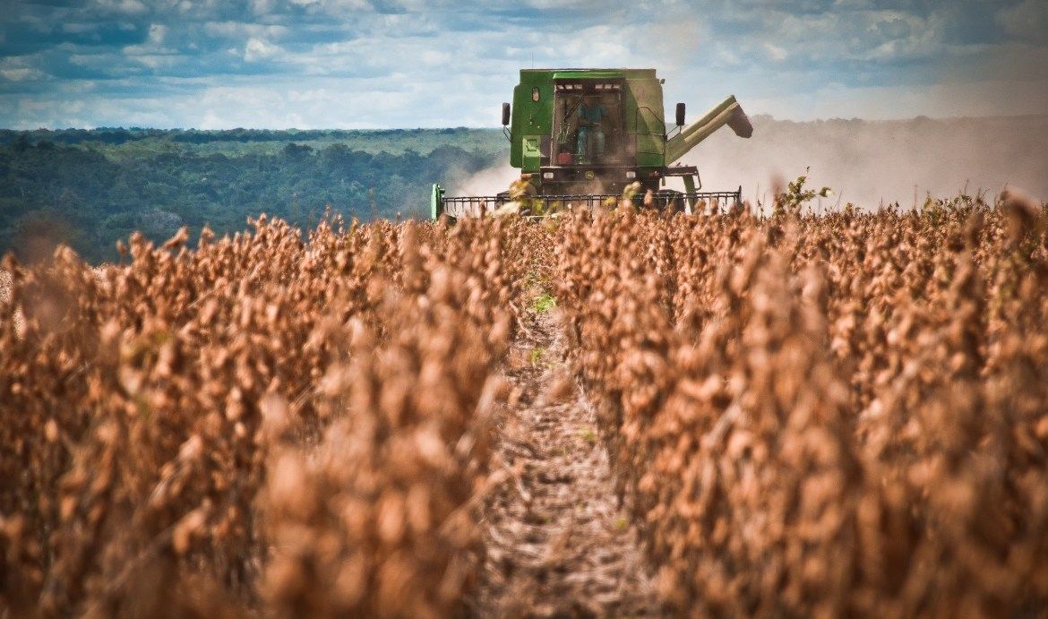 El campo frente a la cosecha: suben costos impositivos y se llevan el 65% de la renta
