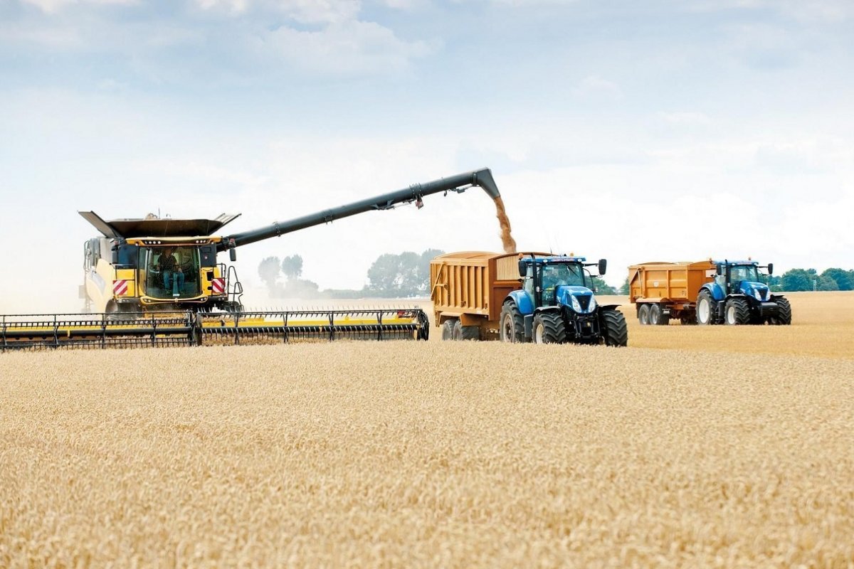En 2023, la agroindustria representó el 55% de todas las exportaciones En 2023, la agroindustria representó el 55% de todas las exportaciones