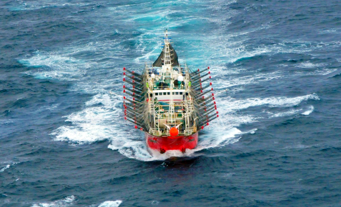 Dólares: Argentina bate su propio récord de exportaciones de pescados y mariscos