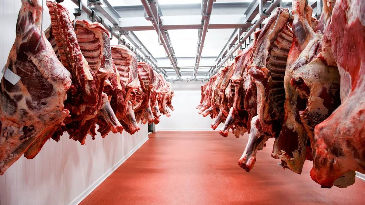 Exportaciones de carne: 735 millones de dólares en el primer trimestre Exportaciones de carne: 735 millones de dólares en el primer trimestre