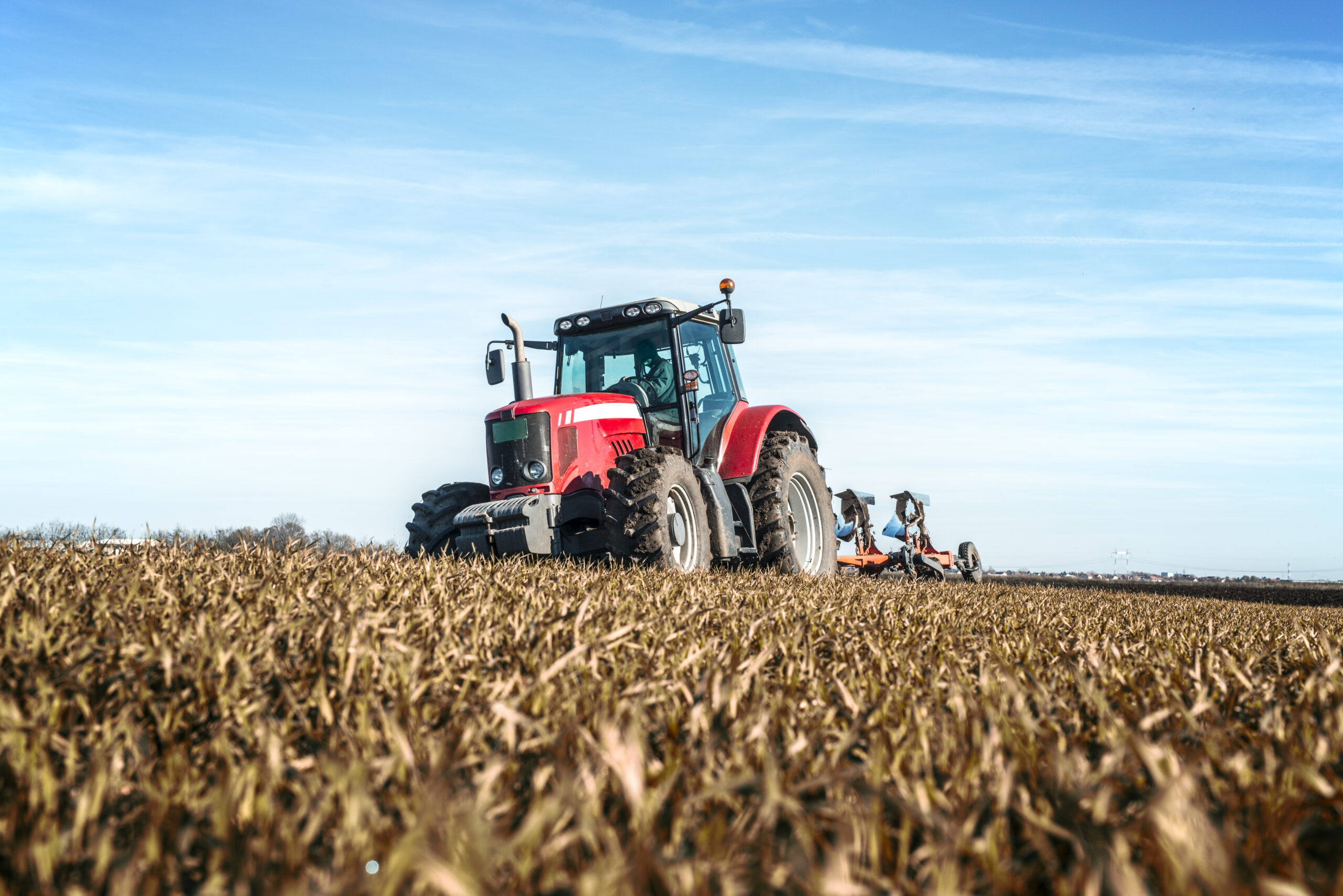 ¿Trabajar en el agro? ¿Por qué no? Qué piensan los jóvenes que estudian en la universidad