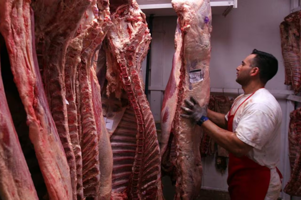 Exportación de carne: en ocho meses se superaron las 500.000 toneladas Exportación de carne: en ocho meses se superaron las 500.000 toneladas