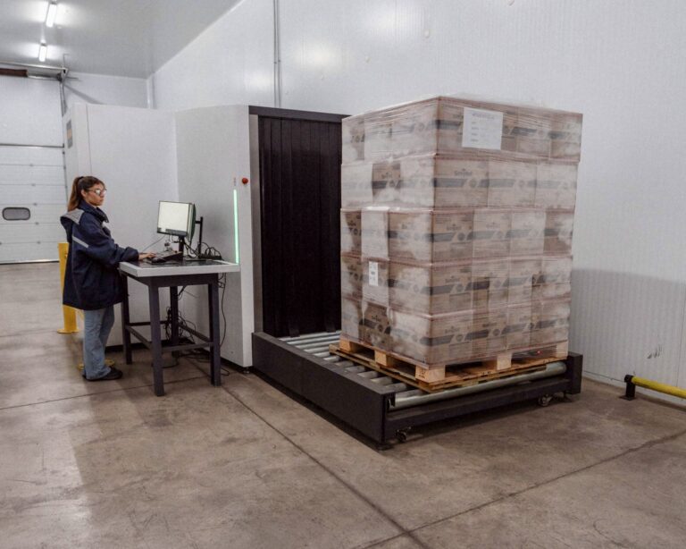 Logística y calidad: el desafío de exportar limones argentinos a mercados internacionales