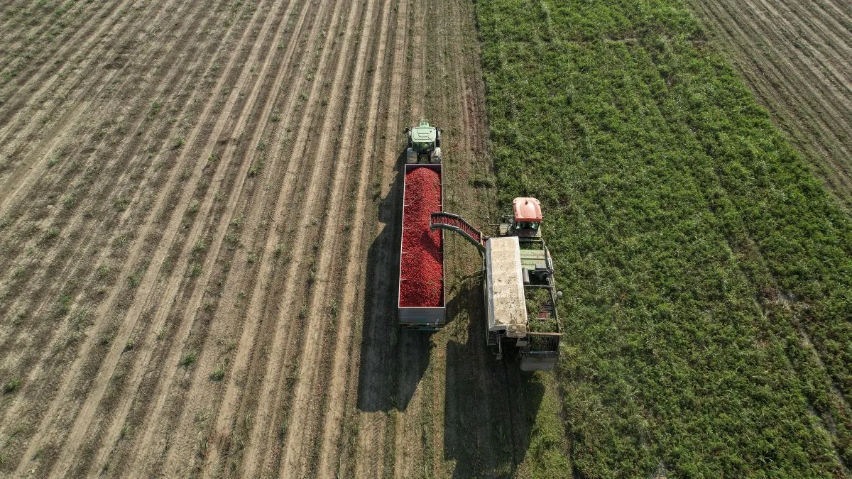 Un arma de doble filo: el impacto de volver a subir las retenciones al agro Un arma de doble filo: el impacto de volver a subir las retenciones al agro