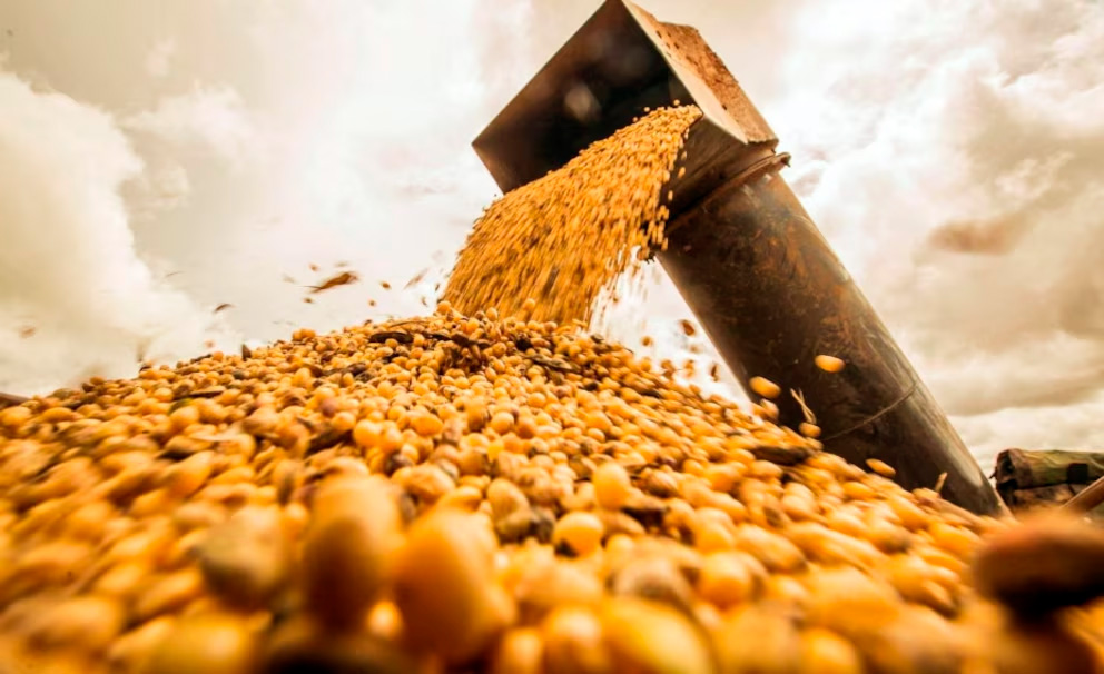 Divisas del agro: freno en el mercado de soja tras el aumento de las retenciones Divisas del agro: freno en el mercado de soja tras el aumento de las retenciones