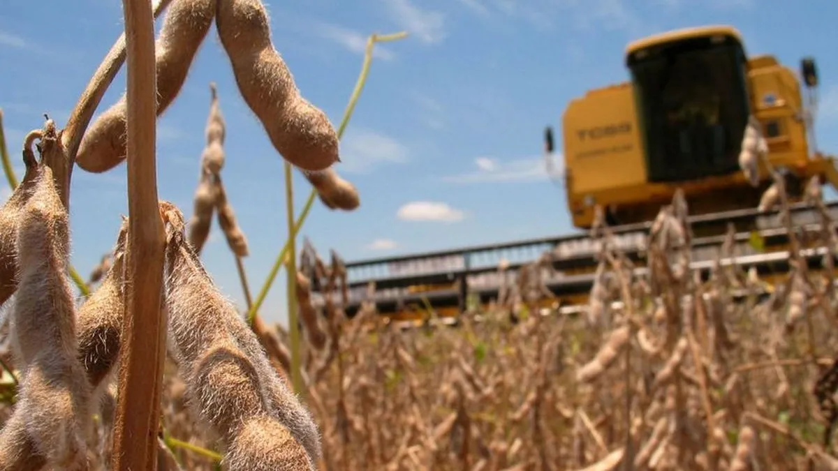 Rebaja de los DEX: alivio por U$S 190 millones para el agro de Córdoba Rebaja de los DEX: alivio por U$S 190 millones para el agro de Córdoba