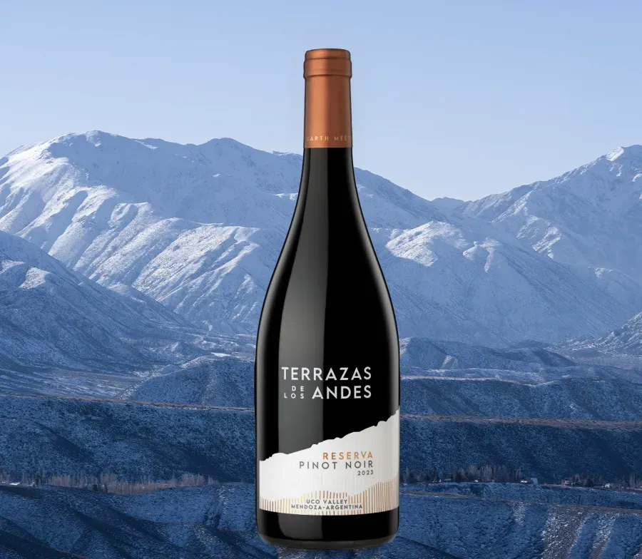 Un Pinot Noir de altura para celebrar su día Un Pinot Noir de altura para celebrar su día