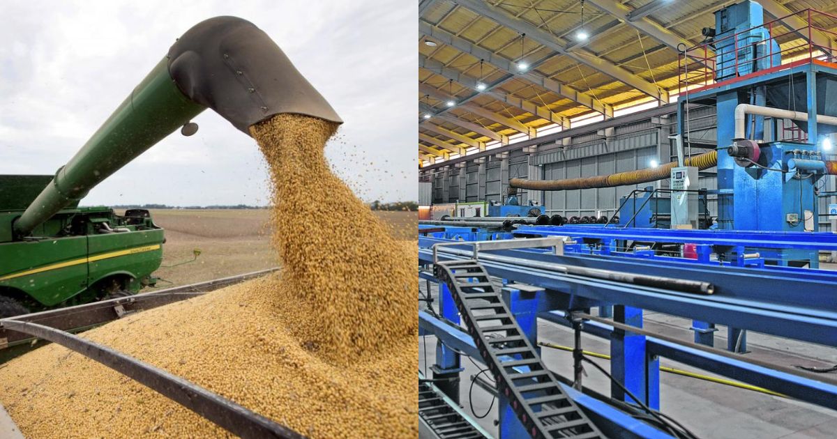 Fin de año mixto: Reducción de retenciones al agro y cierre débil de la industria